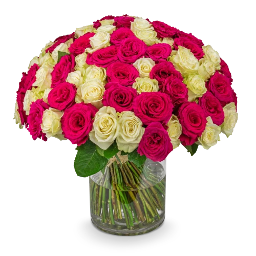 Bouquet of pink and white roses